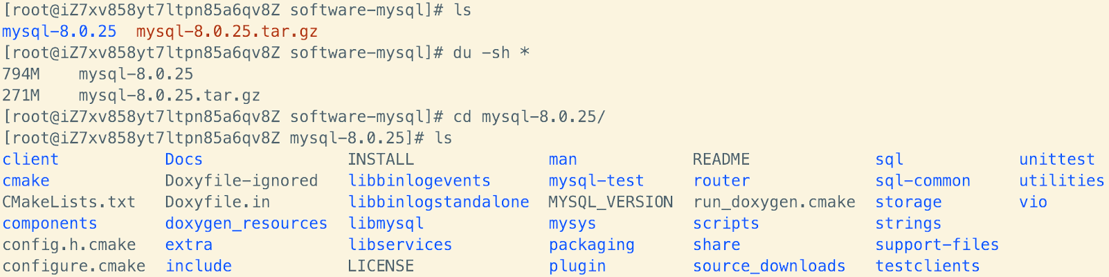 image-20250212175149284